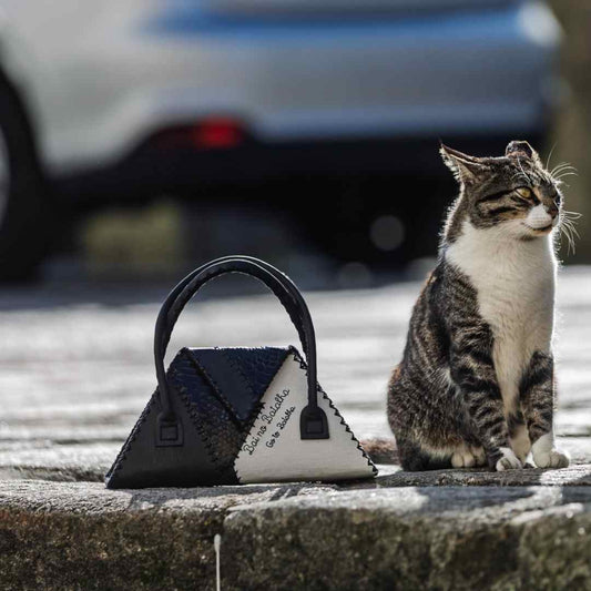 Mala geometria Bai no batalha